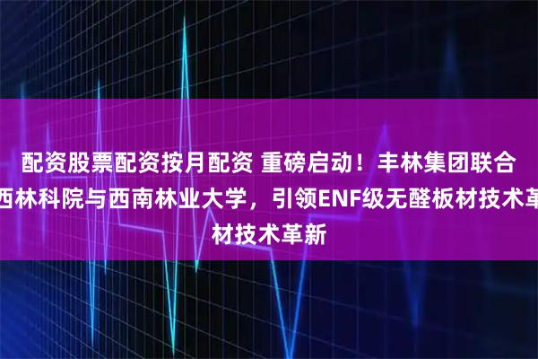 配资股票配资按月配资 重磅启动！丰林集团联合广西林科院与西南林业大学，引领ENF级无醛板材技术革新